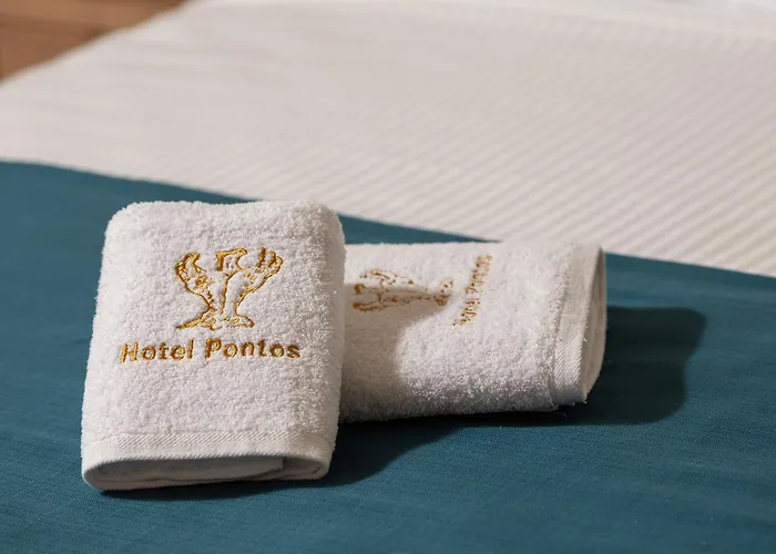 Pontos Hotel Sarti